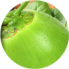 Electrolyte Blend