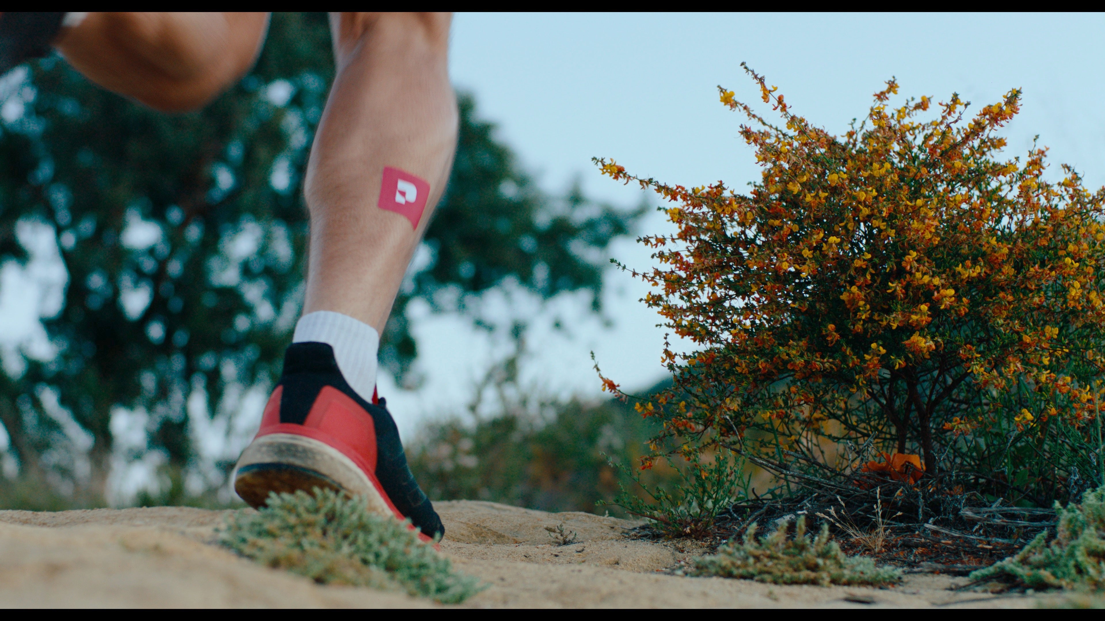 Pure Patch Wearable Nutrition