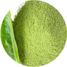 L-Theanine