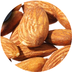 L-Theanine