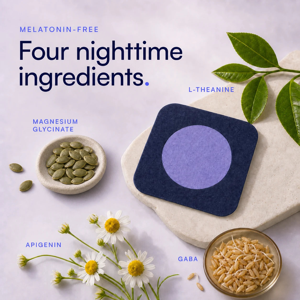 Pure Patch Sleep Patch formula illustration featuring magnesium glycinate, L-theanine, apigenin and GABA.